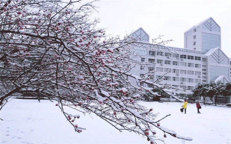 浙江水利水电学院校园实景