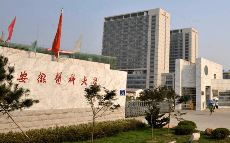 2026年安徽医科大学在安徽录取位次是多少相关院校校园环境