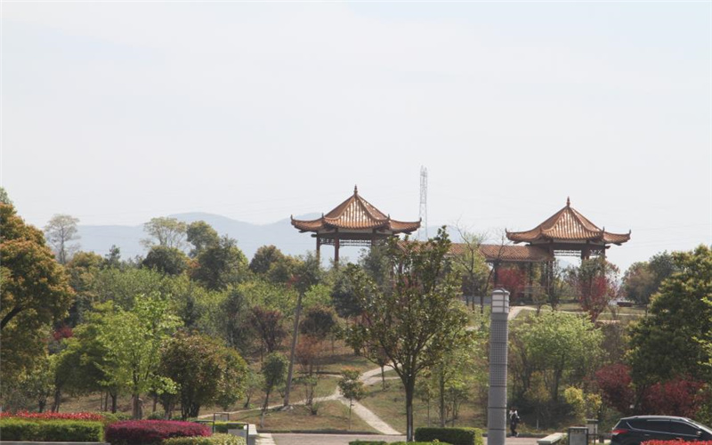 岳阳职业技术学院校园实景