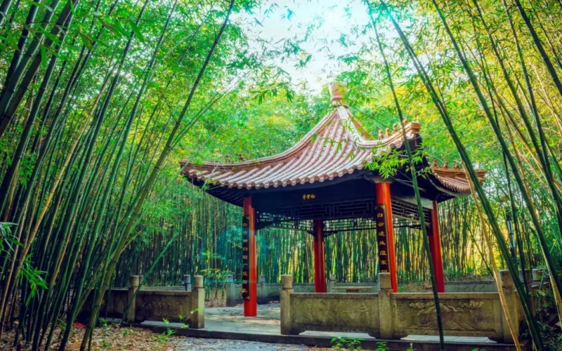 建筑设计专业相关院校校园环境