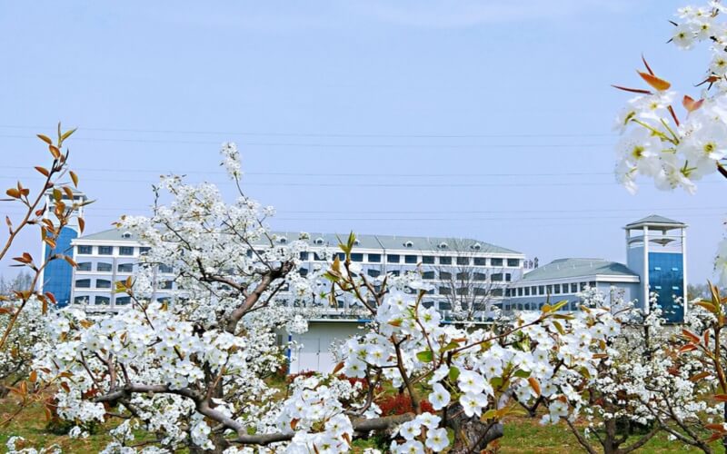 宿州职业技术学院校园实景