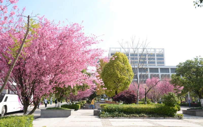 云南工程职业学院校园实景