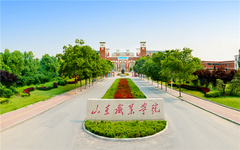 山东职业学院校园环境