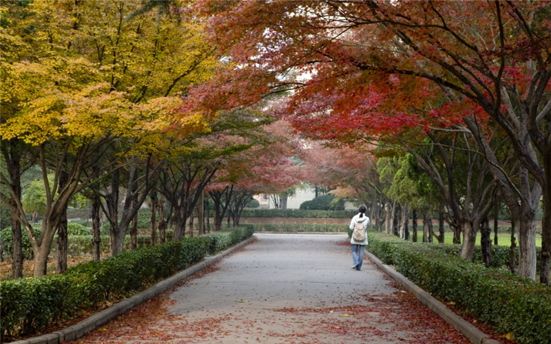 河南科技大学校园实景
