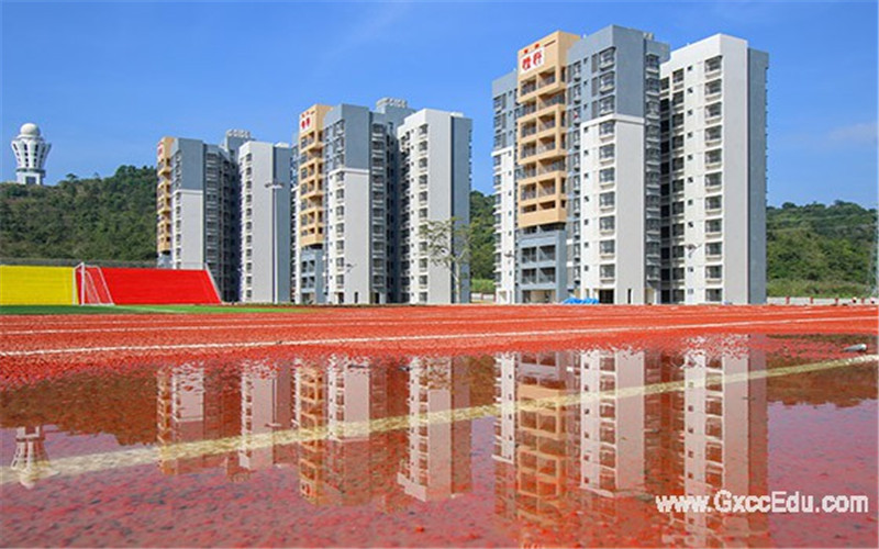 广西城市职业大学校园实景