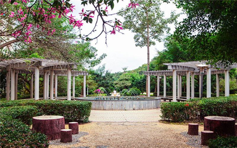 广西城市职业大学校园实景