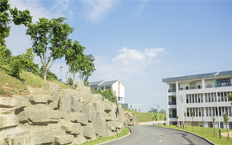 广西城市职业大学校园实景