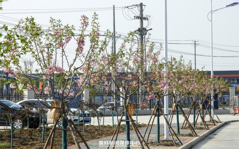 黄冈科技职业学院校园实景