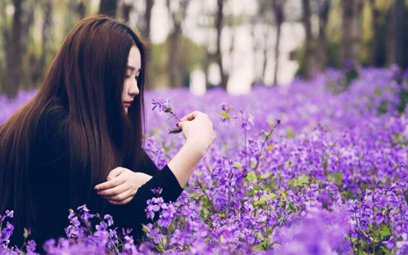 上海视觉艺术学院校园实景