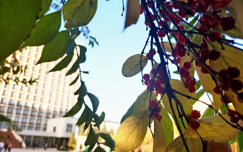 山西财经大学校园实景
