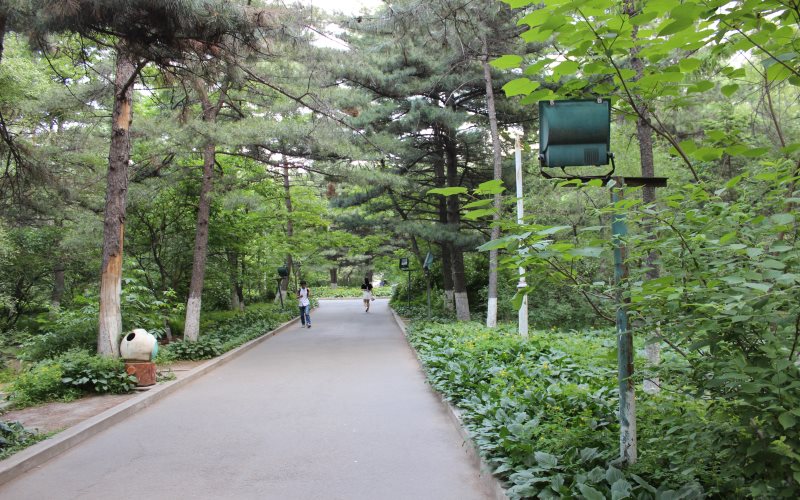 长春大学校园实景
