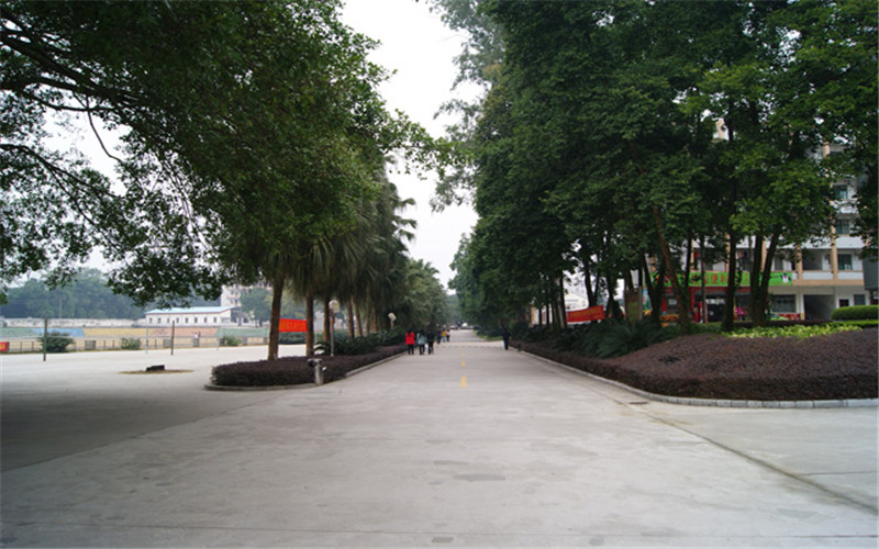 广西生态工程职业技术学院校园实景