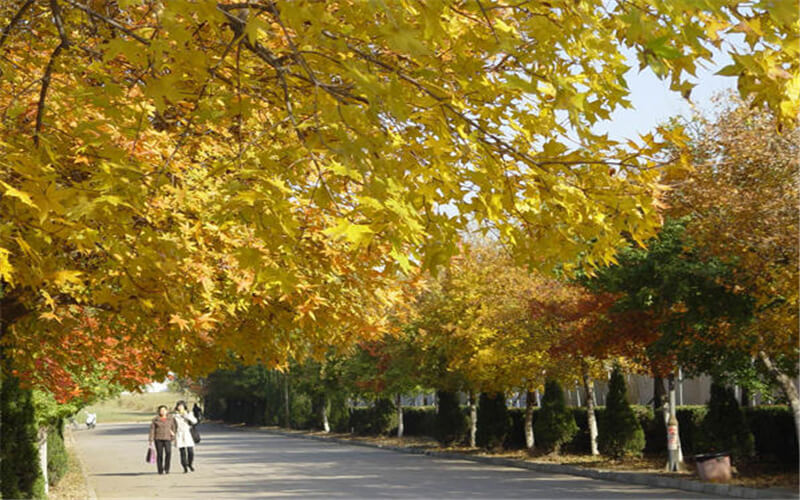 郑州电力职业技术学院校园实景