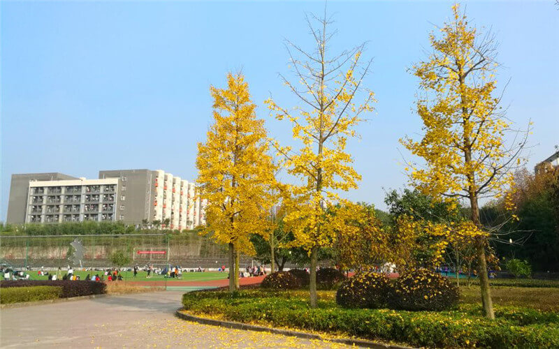 重庆医药高等专科学校校园实景