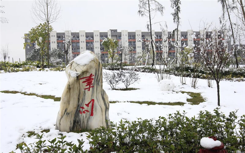 重庆医药高等专科学校校园实景