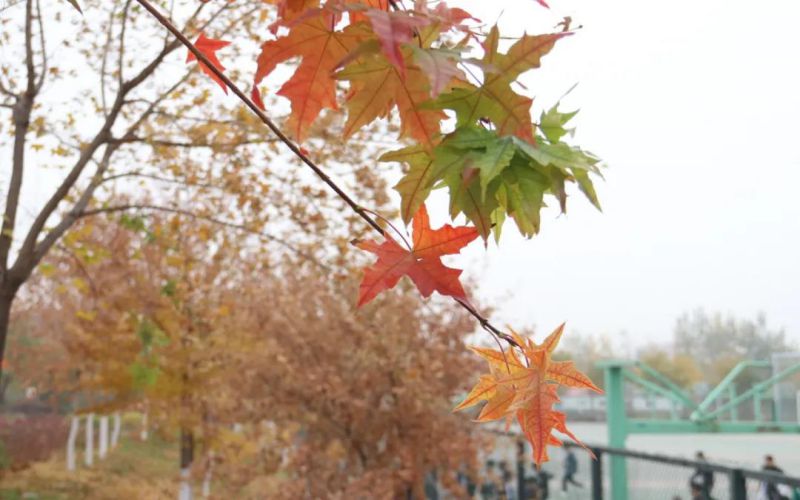 山西传媒学院校园实景