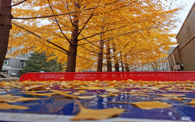 北京卫生职业学院校园实景