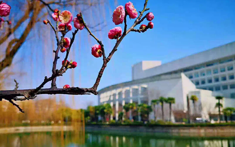 上海大学校园实景