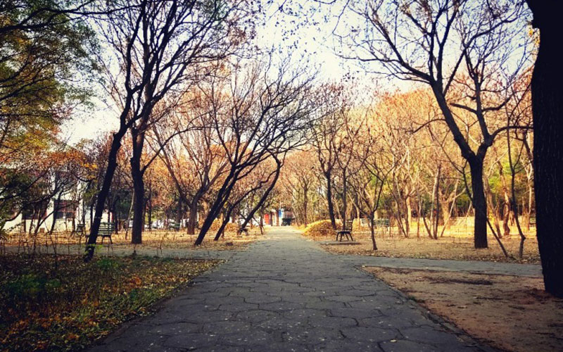 中北大学校园实景