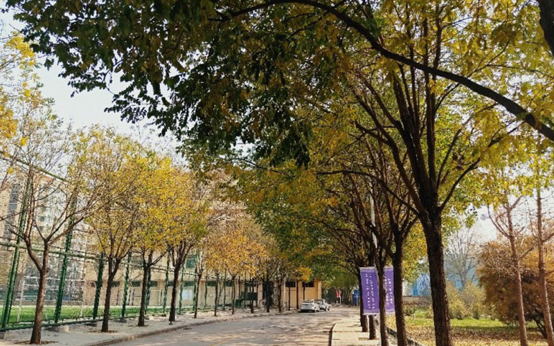 中北大学校园实景