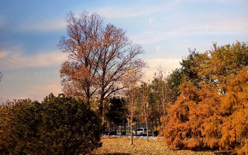 中北大学校园实景