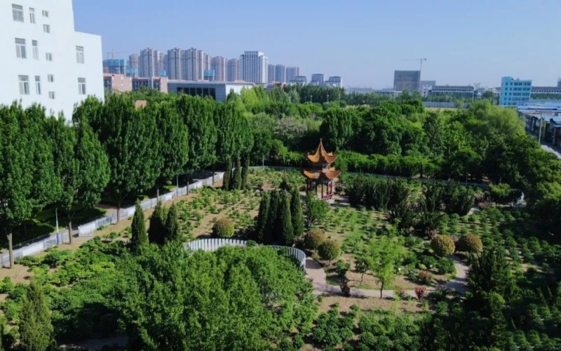 菏泽医学专科学校校园实景