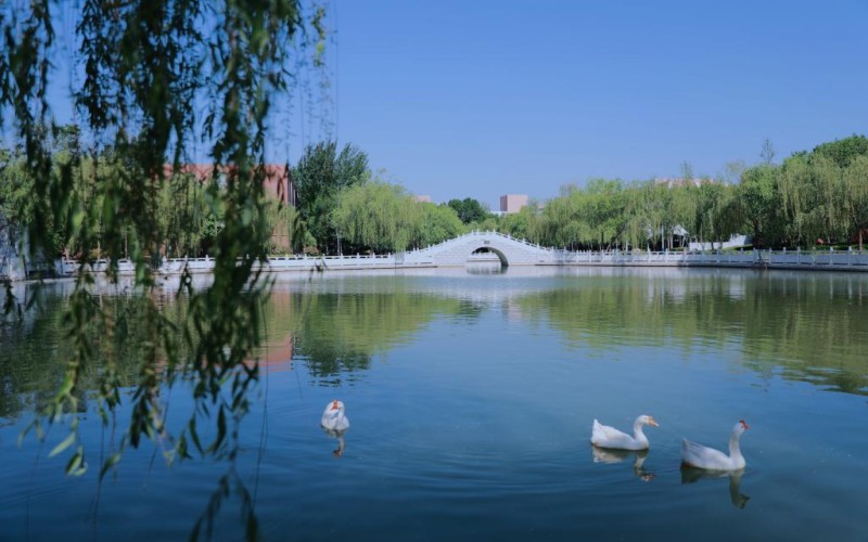 菏泽医学专科学校校园实景