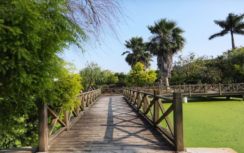 厦门东海职业技术学院校园实景