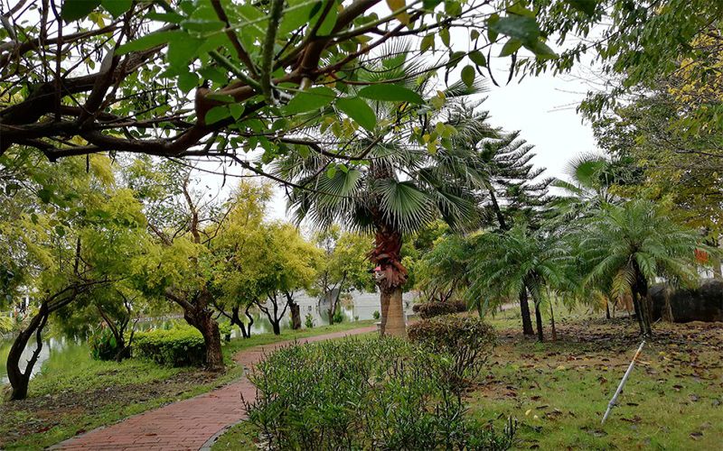 厦门东海职业技术学院校园实景