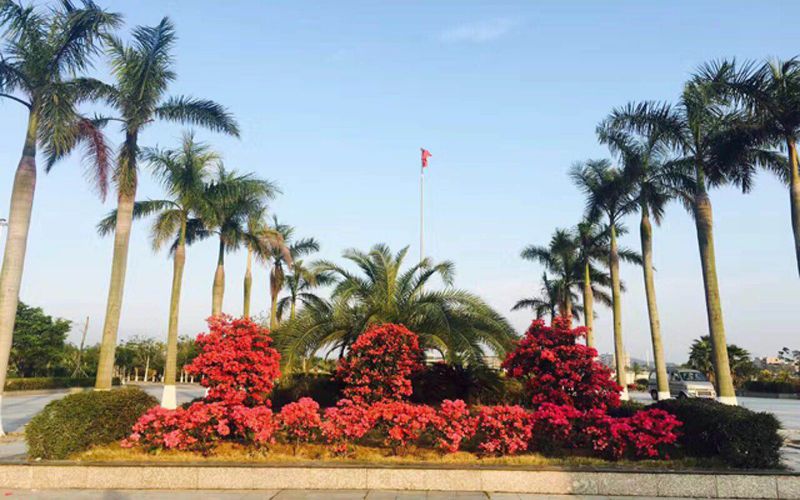 厦门东海职业技术学院校园实景
