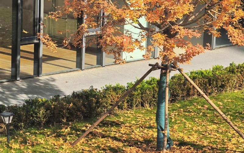 北京电子科技学院校园实景