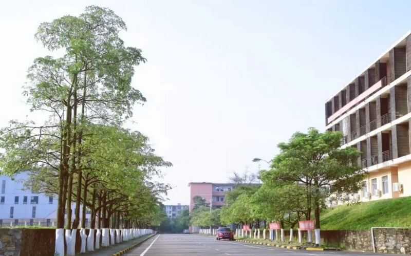 钦州幼儿师范高等专科学校校园实景