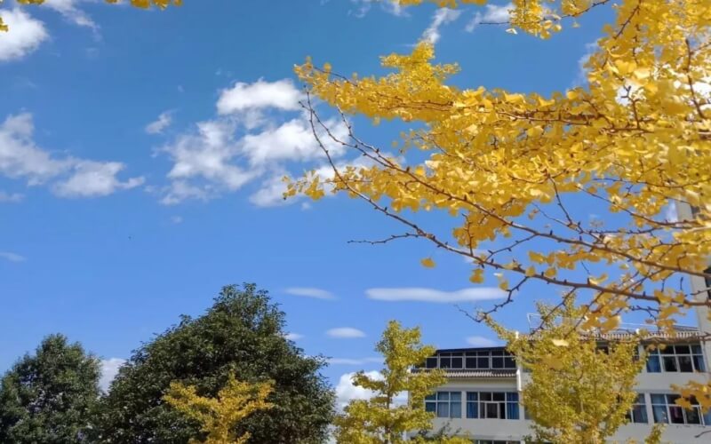 大理大学校园实景