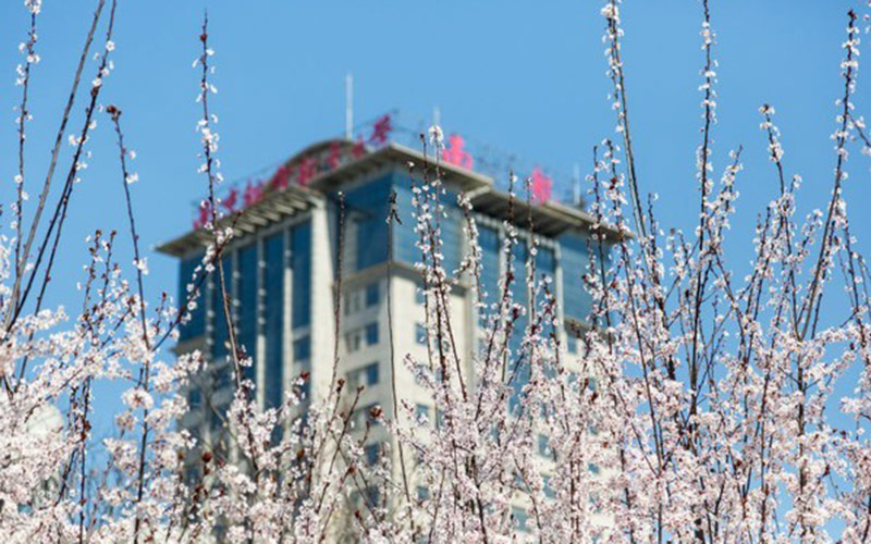 南京航空航天大学校园实景