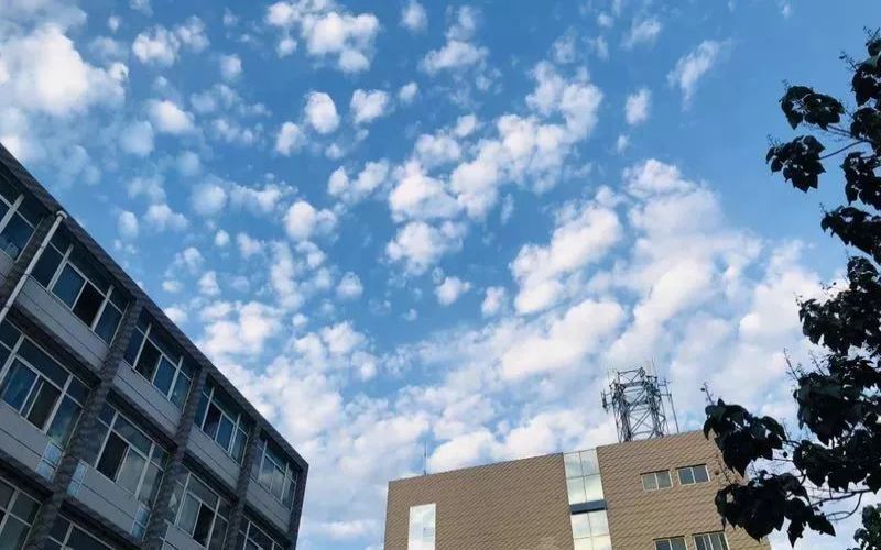 2026年宁夏大学新华学院在内蒙古录取分数线及位相关院校校园环境