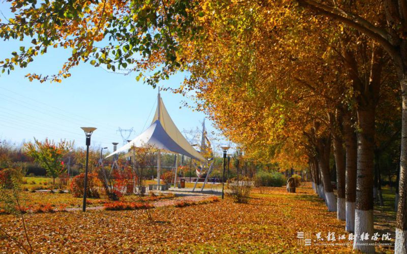 黑龙江财经学院校园实景