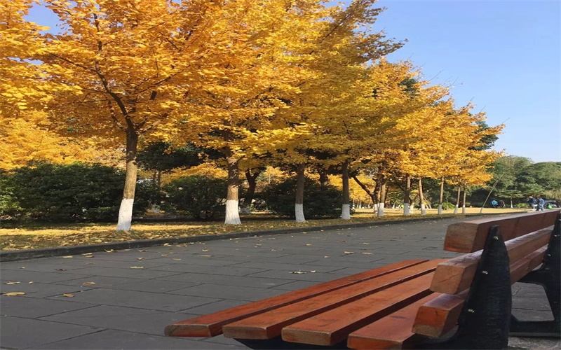 宜宾职业技术学院校园实景