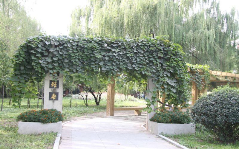 辽宁建筑职业学院校园环境