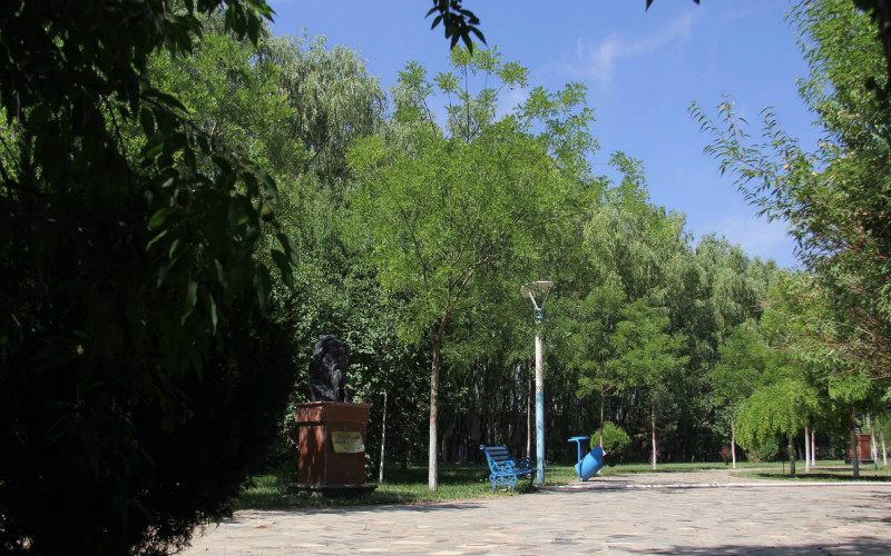 银川能源学院校园实景