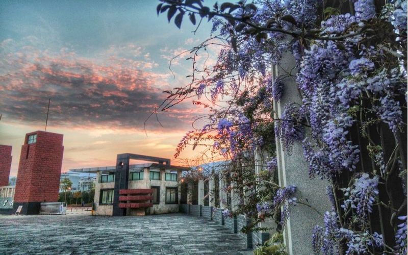 保山学院校园实景