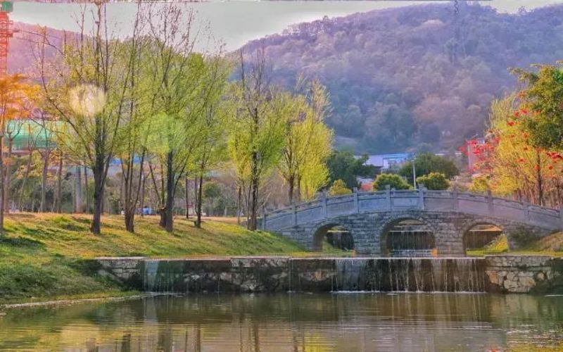 保山学院校园实景