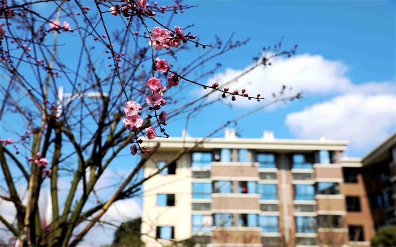 眉山药科职业学院校园实景