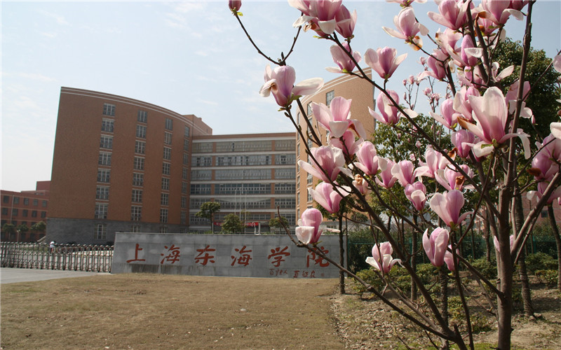 2026年上海东海职业技术学院在辽宁录取位次相关院校校园环境