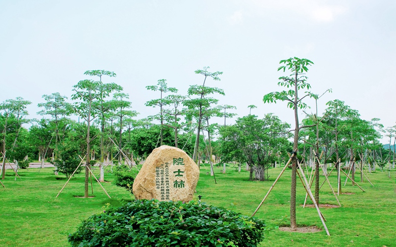 建筑设计类里最好考的专业排名相关院校校园环境