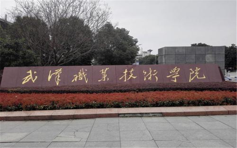 2026年武汉职业技术大学在广东录取分数线及位次相关院校校园环境