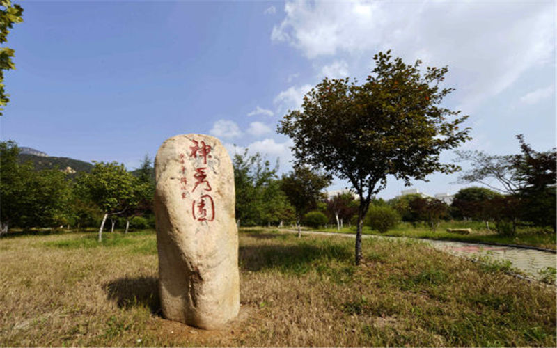泰山学院校园实景