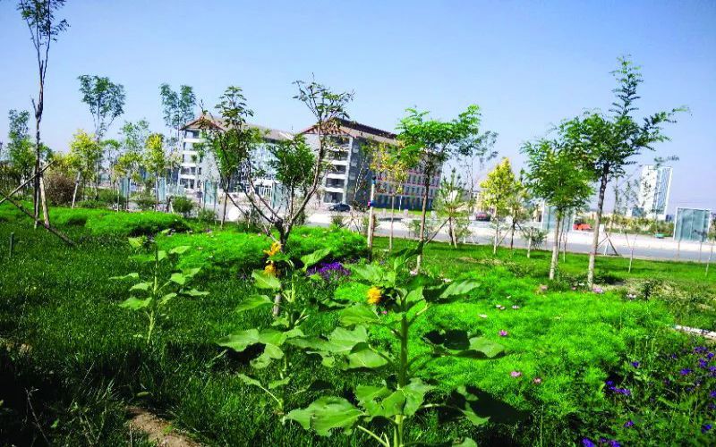 甘肃财贸职业学院校园实景