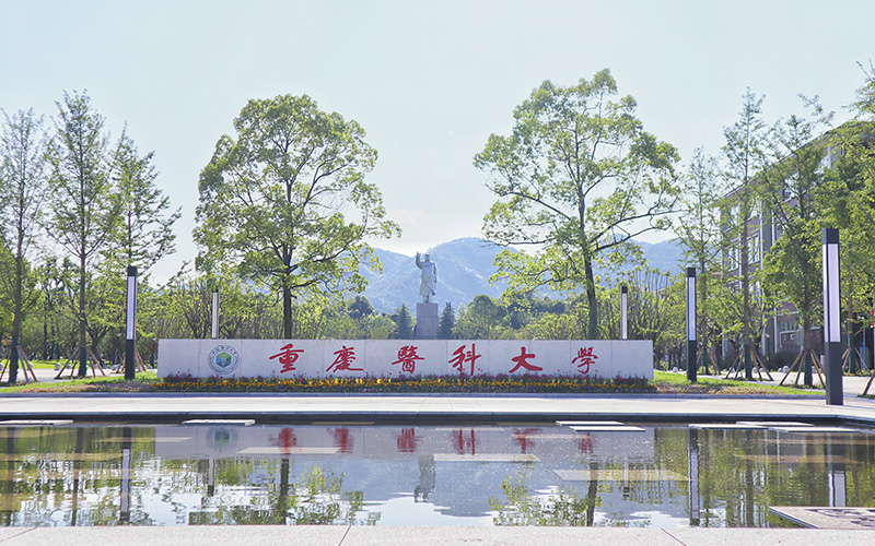 北京开设功能材料的大学相关院校校园环境