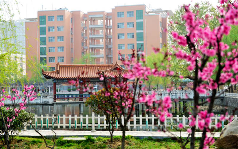 南阳医学高等专科学校校园实景