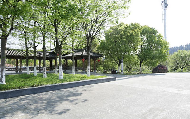 黄山健康职业学院校园实景